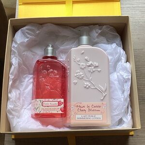 New L'OCCITANE Cherry Blossom Body Wash and Lotion Set